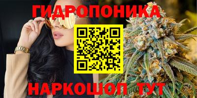 прущие крисы Нальчик