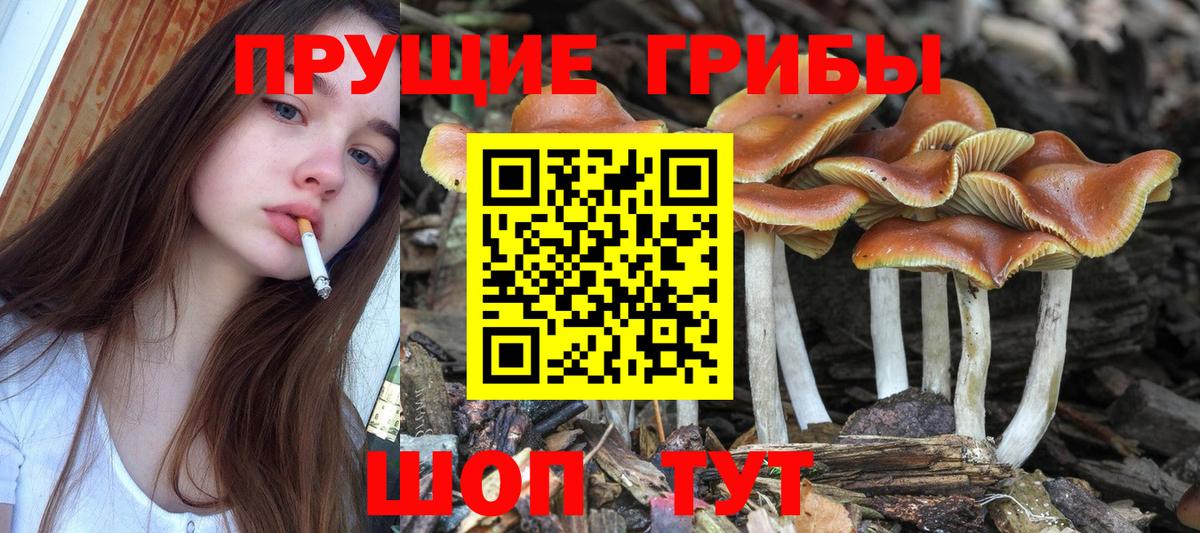 Галлюциногенные грибы мицелий  Псилоцибиновые грибы мицелий  Вход с VPN  Топки 